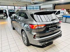 FORD Kuga 2.0 M-Hybrid ST-Line X*