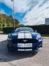 Ford Mustang 3.7L V6 - Ford Mustang: Coupe, V6