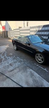 Mercedes-Benz Mercedes CLK 350 Cabrio - Mercedes-Benz CLK 350: Cabrio