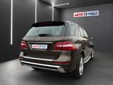 Mercedes-Benz ML250 CDI BlueTec Edition 1 Designo Bi-Xenon Nav - Mercedes-Benz ML 250 aus 2012