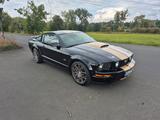 Ford Mustang GT 4.6 V8 Roush - gebrauchte Ford Mustang aus dem Jahr 2006