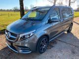 Mercedes-Benz V 300 d 4-Matic - Mercedes-Benz V 300 Gebrauchtwagen in Stuttgart
