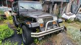 Jeep Wrangler YJ 4.0 - Jeep Wrangler: Yj