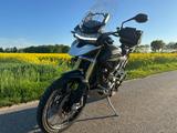 Triumph Tiger 1200 Rally Pro