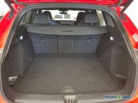 Audi SQ6 e-tron - Vorschau Bild 9