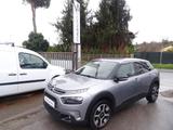 Citroën Citroen C4 Cactus PureTech 110 S&S EAT6 Shine - silberne Citroën C4 Cactus