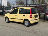 Fiat Panda 1.2 8V Dynamic TÜV&Service Neu - Fiat Panda Gebrauchtwagen in Hamburg