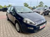 Fiat Punto More - Fiat Punto MORE mit Benzin-Antrieb