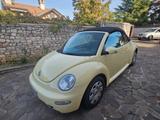 Volkswagen New Beetle 1.4 16V Cabrio - Volkswagen New Beetle: Gelb