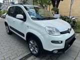 Fiat Panda Rock 1,3 Multijet 4x4 Klima 1.Hand Euro6 - Fiat Panda mit Diesel-Antrieb: 3.1