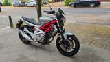 Suzuki Gladius SFV650A - tiefergelegt, Doppelscheinwerf - Angebote