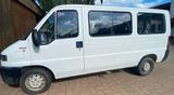 Fiat Ducato - gebrauchte Fiat Ducato aus dem Jahr 2000