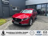 Mazda CX-30 Selection HUD Navi Soundsystem Bose 360 Ka - Mazda CX-30 Gebrauchtwagen in Köln