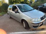 Fiat Punto - Fiat Punto Gebrauchtwagen in Augsburg