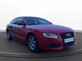 Audi A5 Sportback 2.7 TDI | MMI NAVI | BLUETOOTH - Audi A5: 2.7