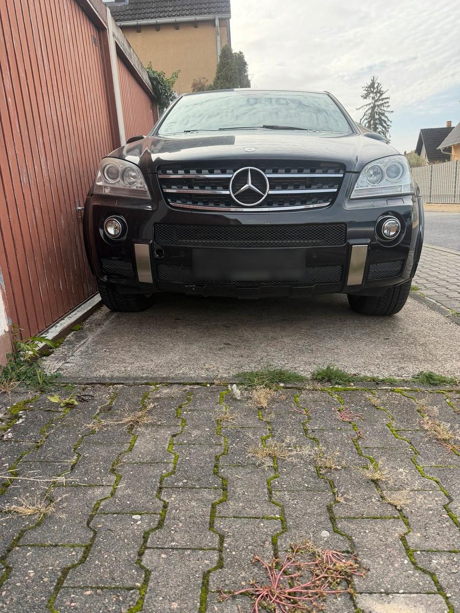 Mercedes-Benz ML420 2007 — rear view