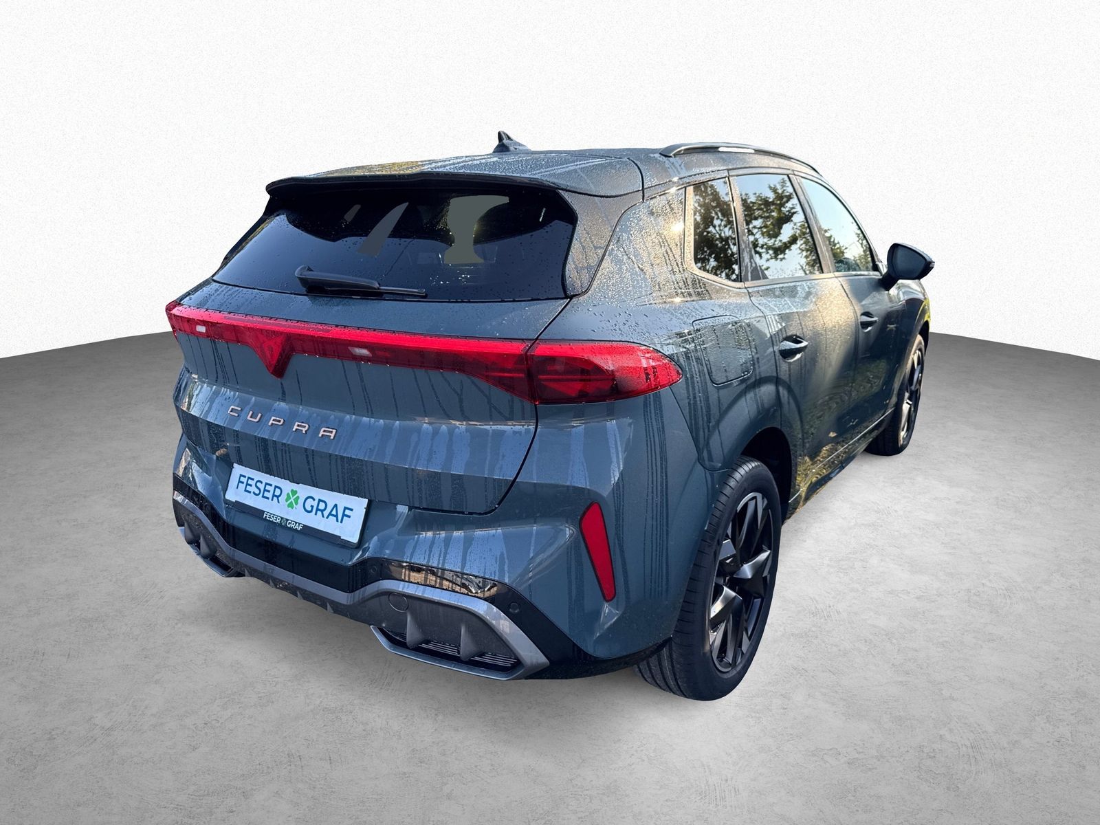 Cupra Terramar - Bild 3