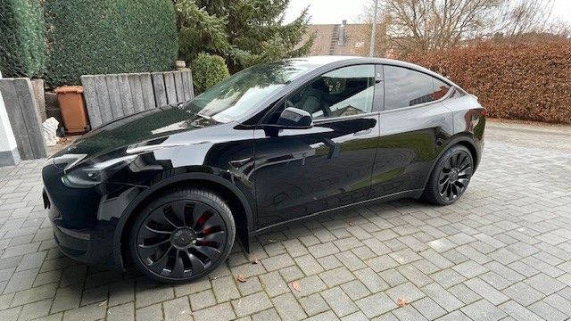 Tesla Model Y Performance Dual Motor AWD Performance