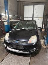 Ford Fiesta Sport 1.6 - Ford Fiesta aus 2007: 1.6
