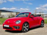 Volkswagen Beetle 1.2 TSI DSG Cabriolet Xenon - VW Beetle von privat