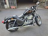Harley-Davidson Sportster 883 - Offers