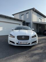 Jaguar XF 2.2 L Diesel - - Jaguar Gebrauchtwagen von 2011
