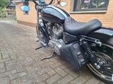 Harley-Davidson XL883 - Angebote