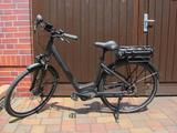 Trenoli Brenta comodo 500 Watt Bosch Shimano Nexus LED - Trenoli E-Bikes