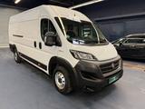Fiat Ducato Maxi Kastenwagen L5H2 Klima Tempomat - Fiat Ducato in Solingen