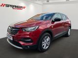 Opel Grandland Opel X*NAV*R.Cam*Apple.Carplay*Temp* - Opel Grandland (X) in Kassel