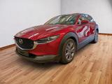 Mazda CX-30 2.5 e-SKYACTIV G TAKUMI*MATRIX-LED*LEDER - Mazda CX-30 Takumi mit Benzin-Antrieb