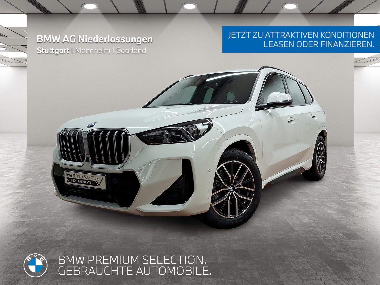 BMW X1 xDrive20d M Sport AHK Driv.Assist Head-Up foto 1