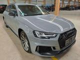 Audi RS4 Avant quattro 2.9 V6 TFSI AHK SITZHZ LED - gebrauchte Audi RS4 aus dem Jahr 2019