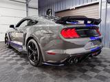 Ford Mustang 2.3 GT Super Snake Look EcoBoost PDS Cam - Ford Mustang in Gelsenkirchen