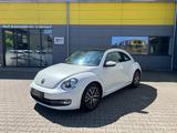 Volkswagen Beetle Lim. Design/PANO/SHZ/KLIMA/NAVI/TEMPOMAT - Volkswagen Beetle: Weiß