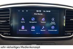 KIA Sportage 2.0 CRDi GT-Line 4WD~Autom.~Leder~Apple