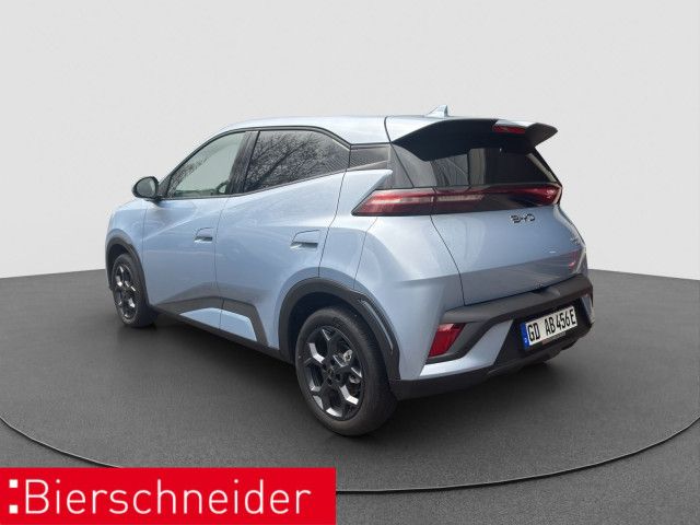 BYD DOLPHIN SURF
