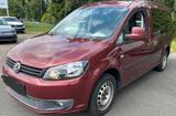 Volkswagen Caddy Kasten/Kombi Maxi Roncalli Edition - Volkswagen Caddy aus 2011: Roncalli
