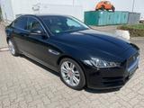 Jaguar XE Prestige - Jaguar in Kiel