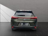 Lexus UX 250H*1HAND*TOTW*SCHECKHEFT* - Lexus UX aus 2020