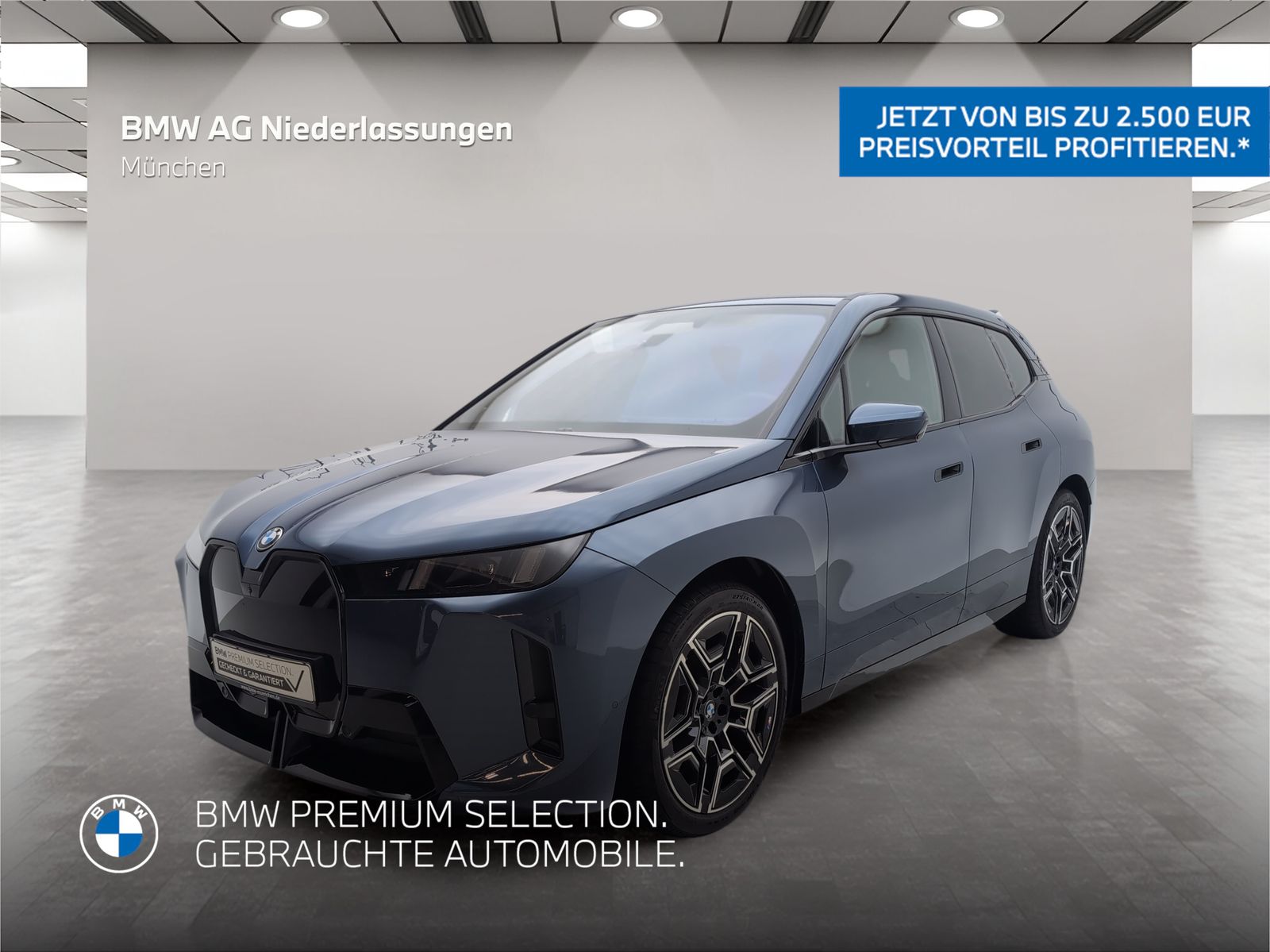 BMW iX xDrive60 M Sport AHK Driv.Assist.Prof Kamera