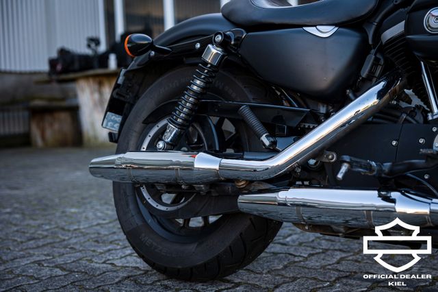 Fahrzeugabbildung Harley-Davidson XL883N SPORTSTER IRON - HEIZGRIFFE - Wartung neu