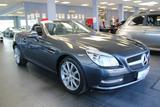 Mercedes-Benz SLK 250 CDI BlueEFFICIENCY 7G-TRONIC - Panorama  - Mercedes-Benz mit Diesel-Antrieb: Sl