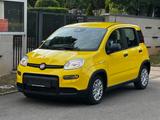 Fiat Panda Pandina Cross
