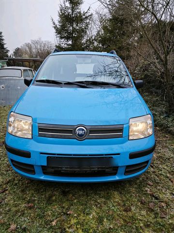 Fiat Panda 1.1 Top Zustand