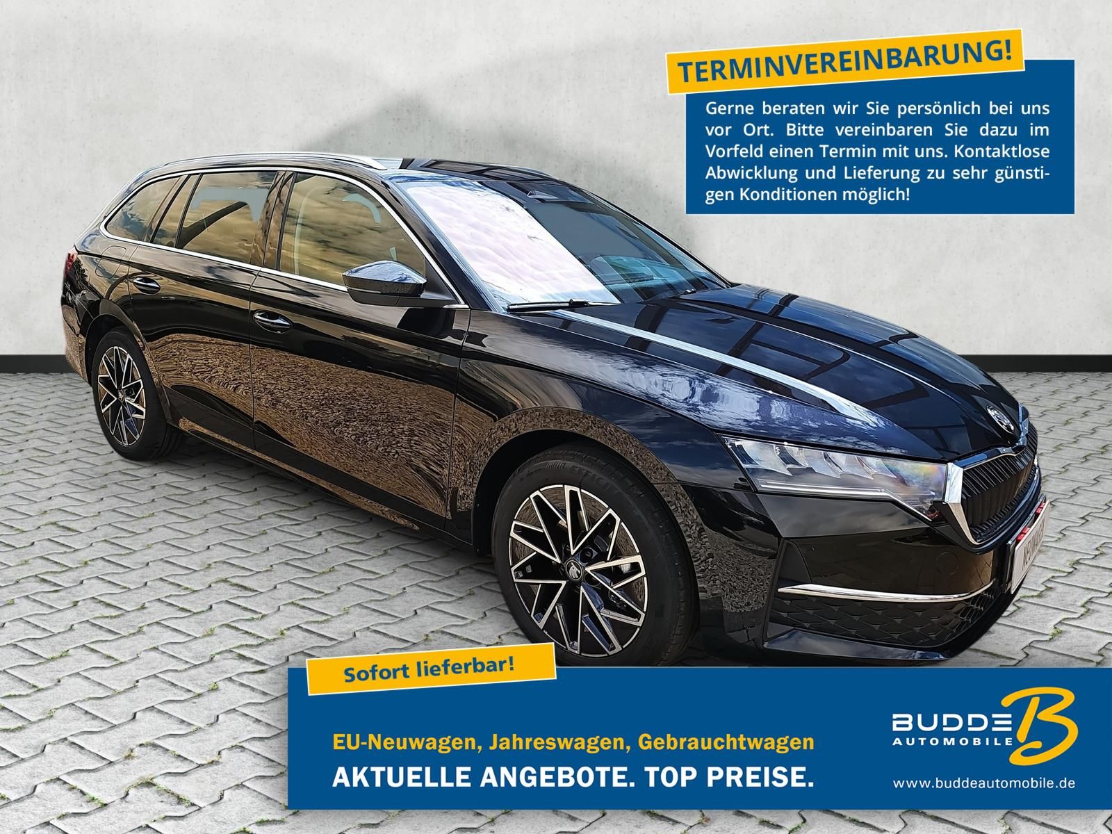 Skoda Octavia Combi 2.0 TDI DSG Selection ACC Navi AHK