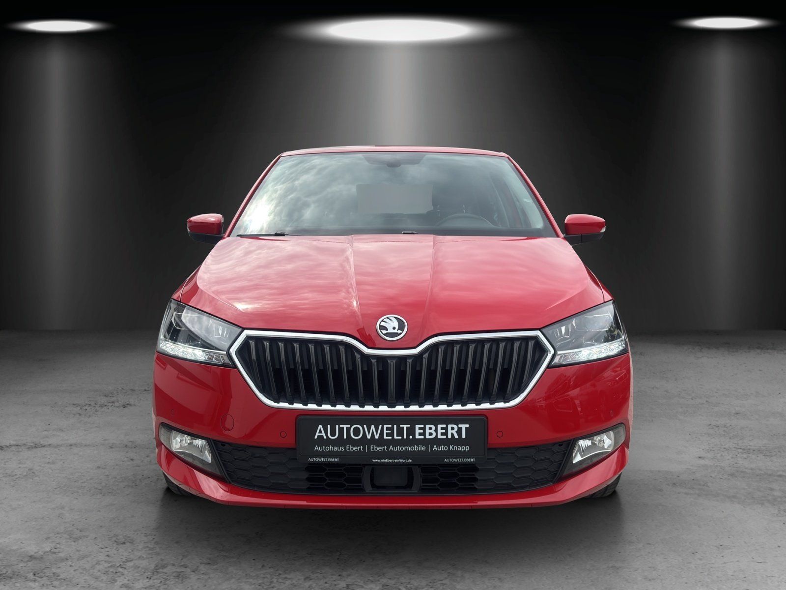 Fahrzeugabbildung SKODA Fabia Soleil 1,0 TSI LED/ACC/PDC/SHZ/DAB/