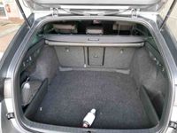 Skoda Octavia - Vorschau Bild 6