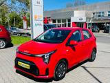 Kia Picanto Vision - gebrauchte Kia Picanto aus dem Jahr 2024
