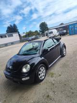 Volkswagen Beetle - gebrauchte VW Beetle aus dem Jahr 2005